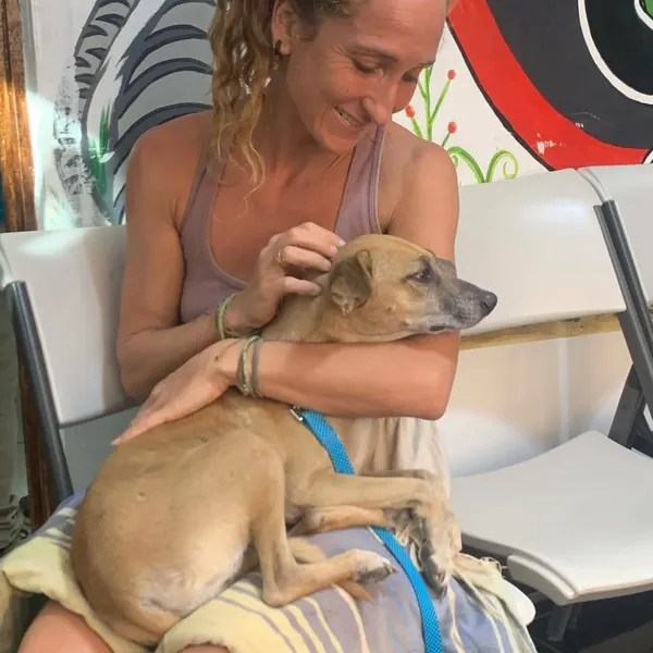 Animal Rescue