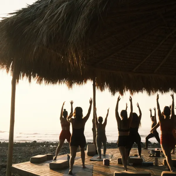 Wellness Retreats