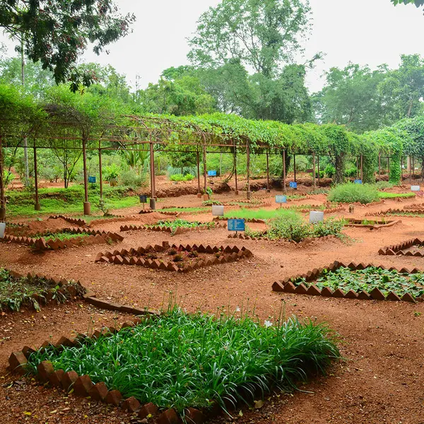 Permaculture Farm Tour